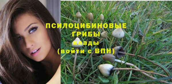 ешки Зерноград